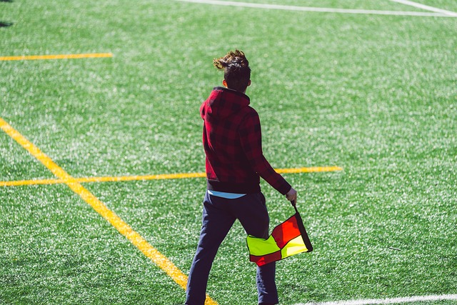 借其特有的 借其特有的