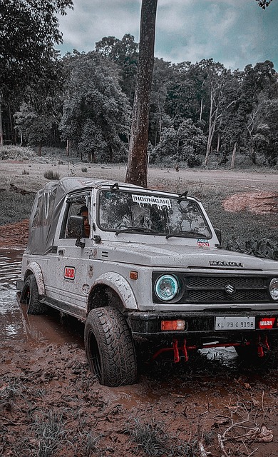 也能为未来 也能为未来