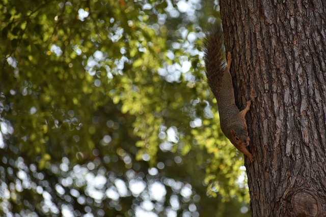 他希望摆脱 他希望摆脱